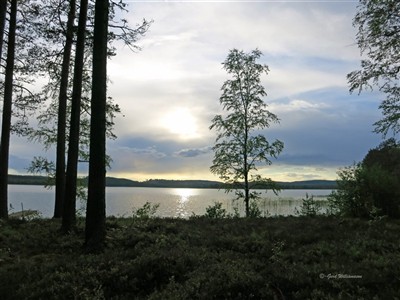 Vackert vid sjön Noren efter regnet