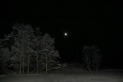 Fullmåne i Torsäng