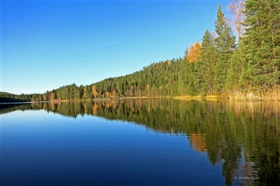 Blank sjö med höstfärger