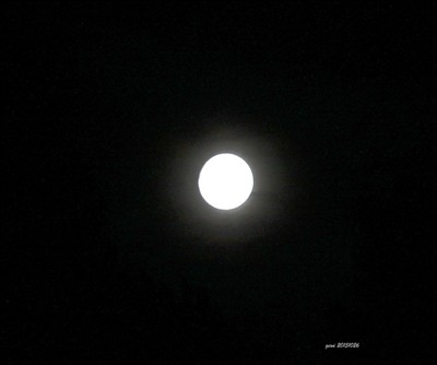 Full måne