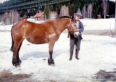 Pappa Olov med häst