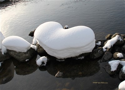 2011 02 Snöhjärta i Gimån