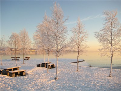 Vinterbild från kall vinterdag 2009