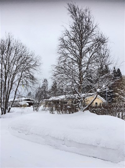 20180201 Snö