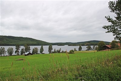 20180818 Grimnäs Ammerön Revsundssjön