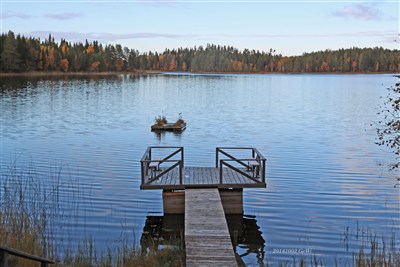 20181003 Del av Hornsjön 2