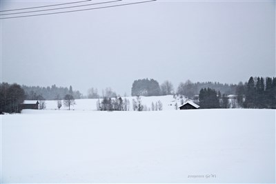20190101 Rent landskap Åkre