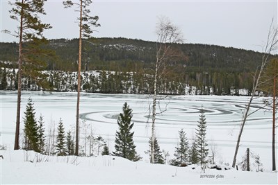 20190226 Spårsnö på isen Ismunden