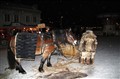 20101203 Hästen hör till julmarknaden.jpg