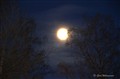 20121123 Ej full måne.jpg